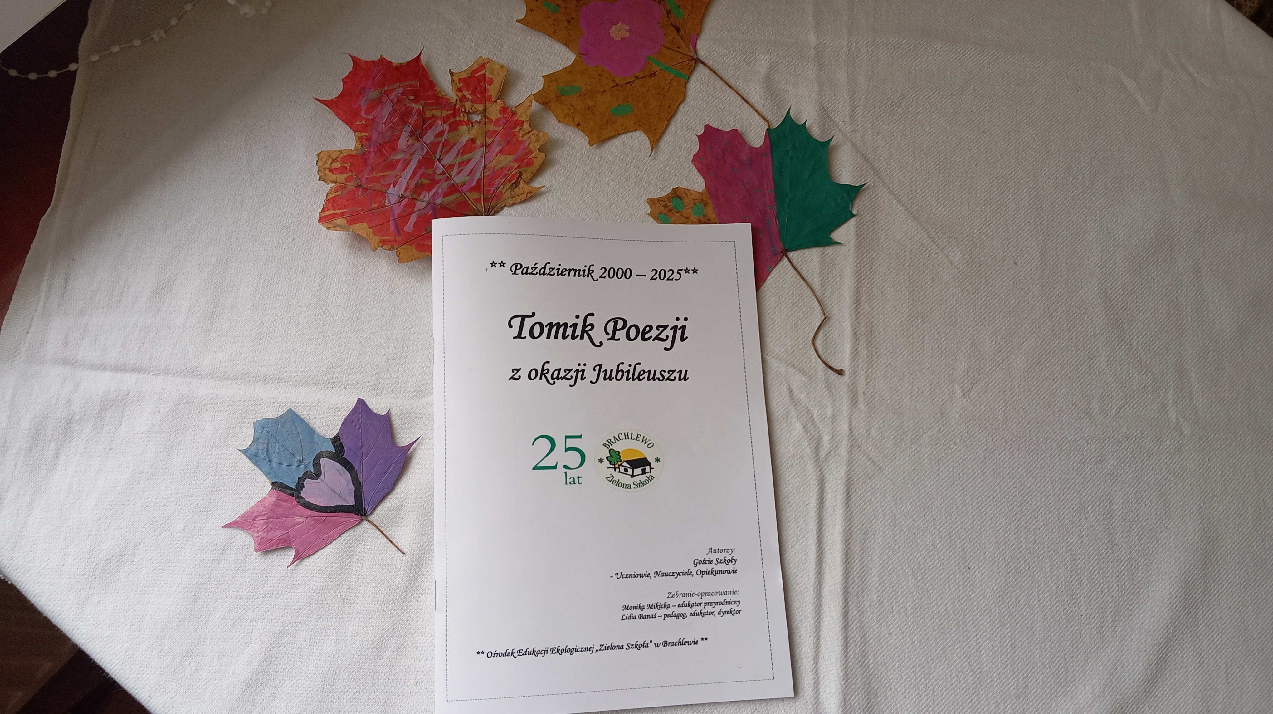 tomik2