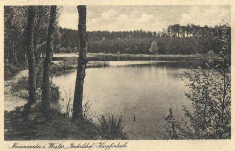 Jerzewo 5 - Karpiarnia