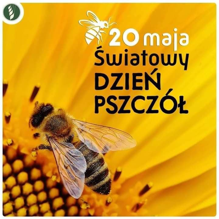 pszczola